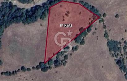 BALIKESİR DURSUNBEY YUNUSLAR MAHALLESİNDE 3.864 m² SATILIK TARLA