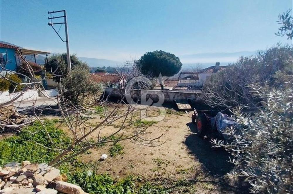 İzmir Bayındır Yeni Mah. Konut İmarlı Arsa