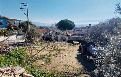 İzmir Bayındır Yeni Mah. Konut İmarlı Arsa