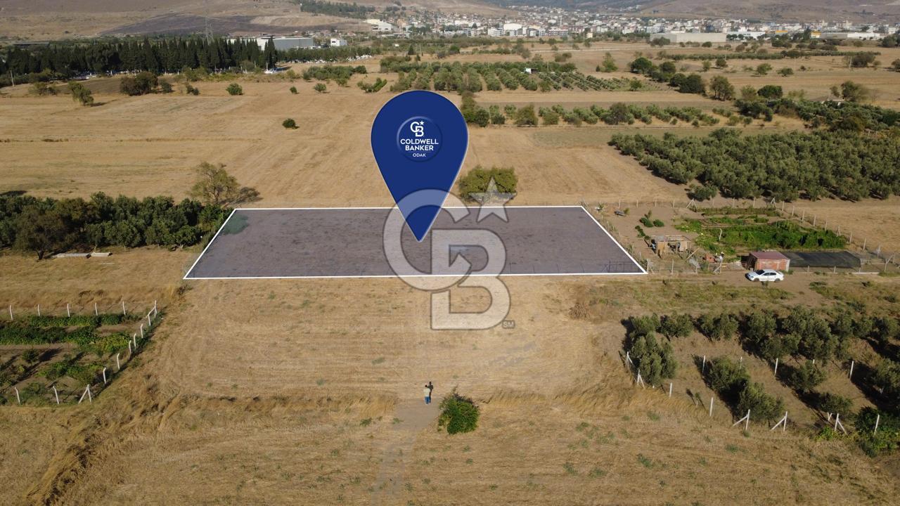 İzmir Aliağa Helvacı'da Satılık 7.000.000 TL Yatırımlık Tarl