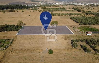 İzmir Aliağa Helvacı'da Satılık 7.000.000 TL Yatırımlık Tarl