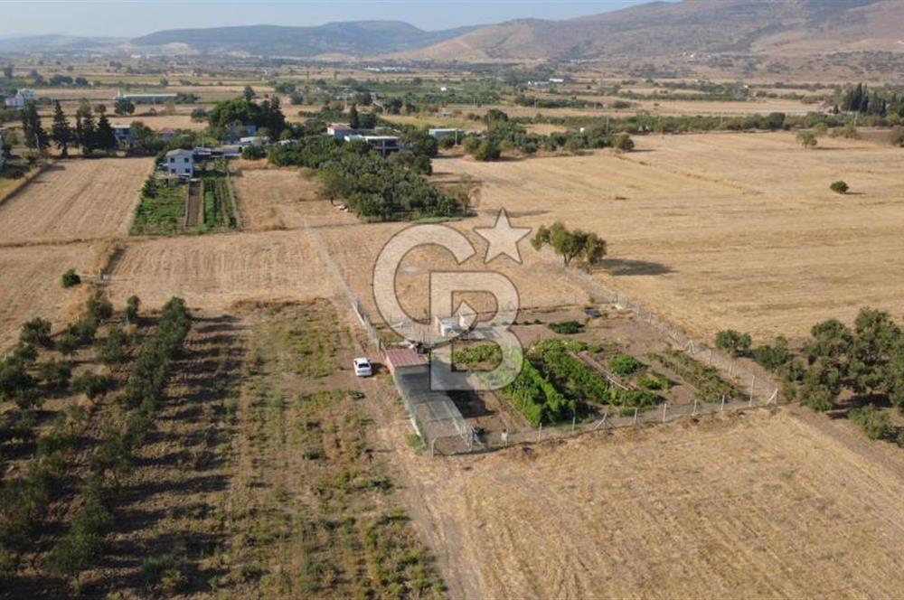 İzmir Aliağa Helvacı'da Satılık 7.000.000 TL Yatırımlık Tarl