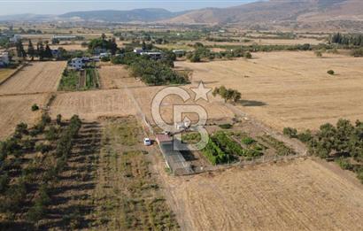 İzmir Aliağa Helvacı'da Satılık 7.000.000 TL Yatırımlık Tarl