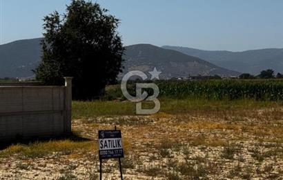TORBALIDA DEĞERİ HIZLA ARTAN İMAR SINIRINDA ARSA/TARLA