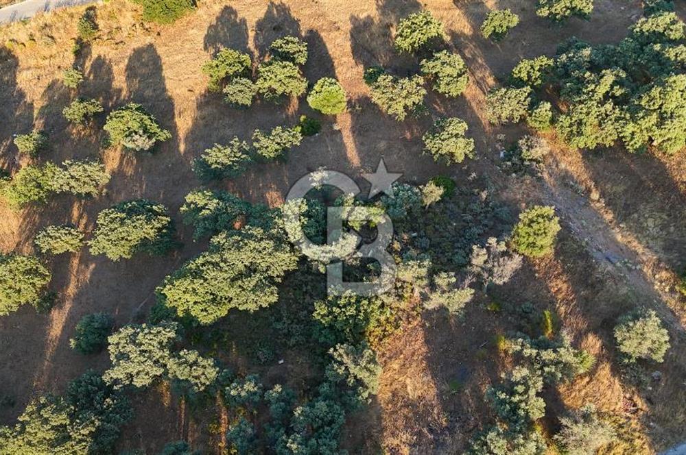 GÜZELBAHÇE'DE 500 m² 15/30 İMARLI SATILIK ARSA