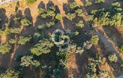GÜZELBAHÇE'DE 500 m² 15/30 İMARLI SATILIK ARSA