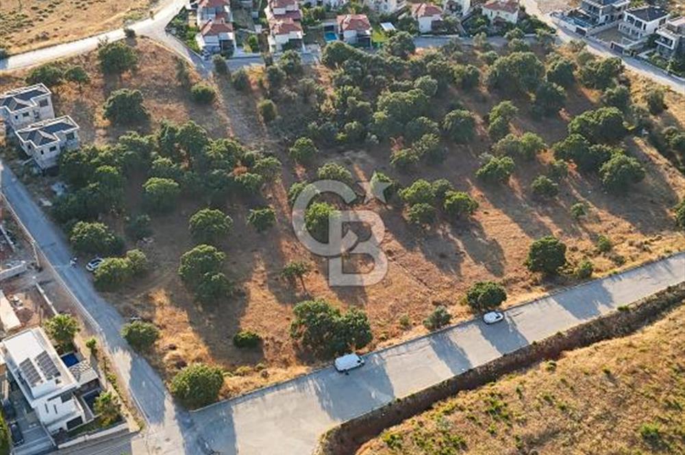 GÜZELBAHÇE'DE 500 m² 15/30 İMARLI SATILIK ARSA