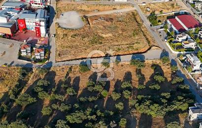 GÜZELBAHÇE'DE 500 m² 15/30 İMARLI SATILIK ARSA