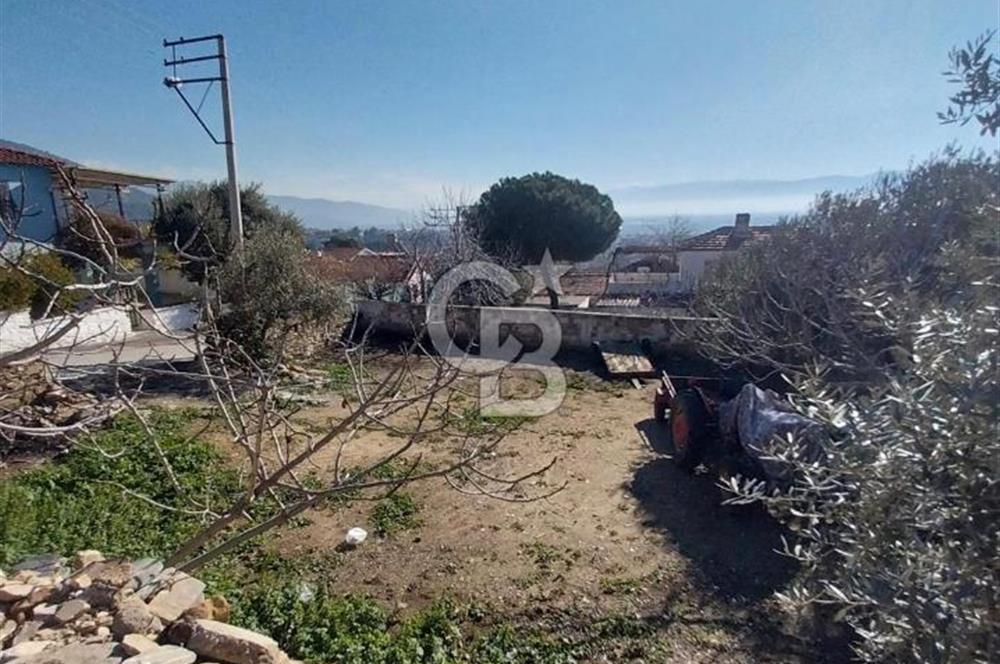İzmir Bayındır Yeni Mah. Konut İmarlı Arsa