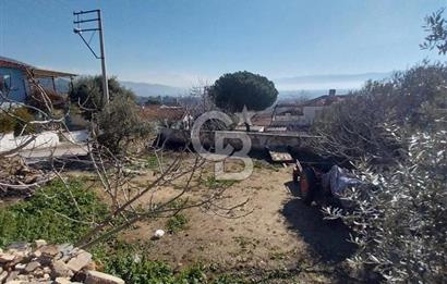 İzmir Bayındır Yeni Mah. Konut İmarlı Arsa