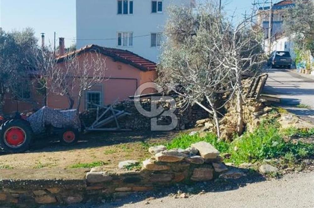İzmir Bayındır Yeni Mah. Konut İmarlı Arsa