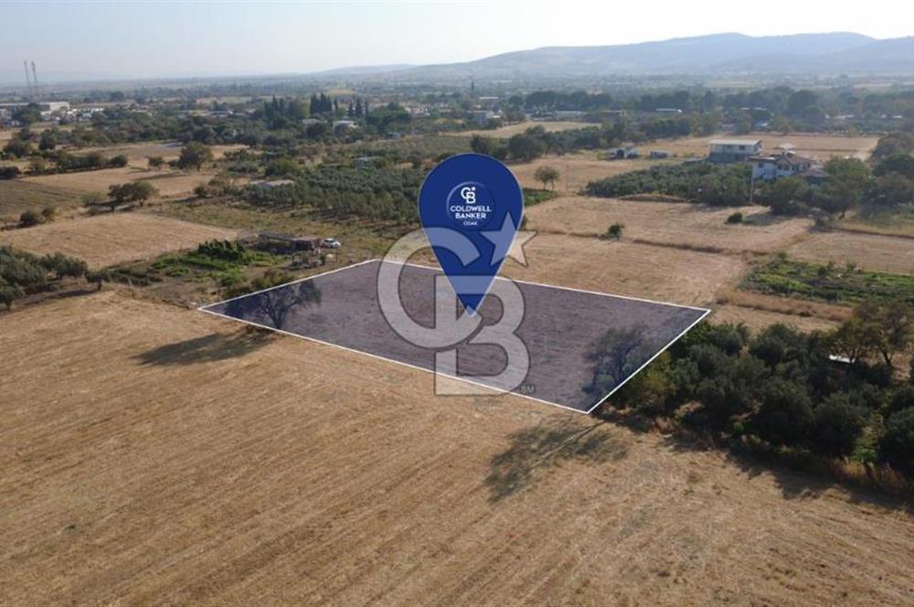İzmir Aliağa Helvacı'da Satılık 7.000.000 TL Yatırımlık Tarl