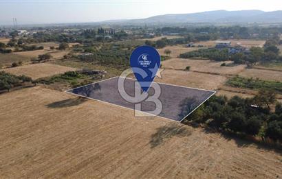İzmir Aliağa Helvacı'da Satılık 7.000.000 TL Yatırımlık Tarl