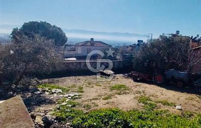İzmir Bayındır Yeni Mah. Konut İmarlı Arsa
