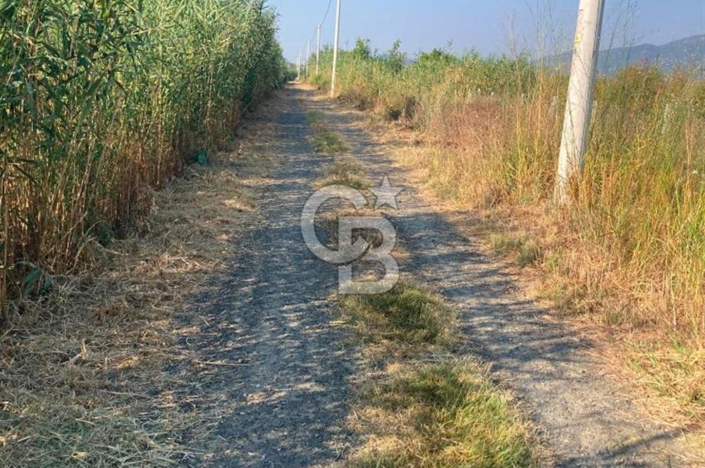 ORTACA TEPEARASI'NDA 300+300 M² ÇEVRİLİ 2 ADET KOOPERATİF HİSSESİ
