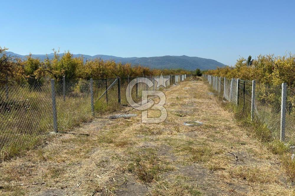 ORTACA TEPEARASI'NDA 300+300 M² ÇEVRİLİ 2 ADET KOOPERATİF HİSSESİ