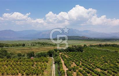 ORTACA TEPEARASI'NDA 300+300 M² ÇEVRİLİ 2 ADET KOOPERATİF HİSSESİ