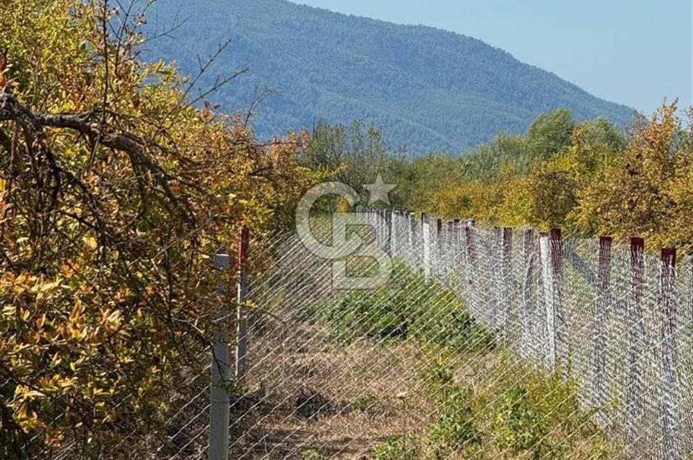 ORTACA TEPEARASI'NDA 300+300 M² ÇEVRİLİ 2 ADET KOOPERATİF HİSSESİ