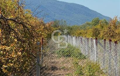 ORTACA TEPEARASI'NDA 300+300 M² ÇEVRİLİ 2 ADET KOOPERATİF HİSSESİ