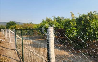 ORTACA TEPEARASI'NDA 300+300 M² ÇEVRİLİ 2 ADET KOOPERATİF HİSSESİ