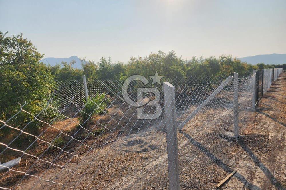 ORTACA TEPEARASI'NDA 300+300 M² ÇEVRİLİ 2 ADET KOOPERATİF HİSSESİ
