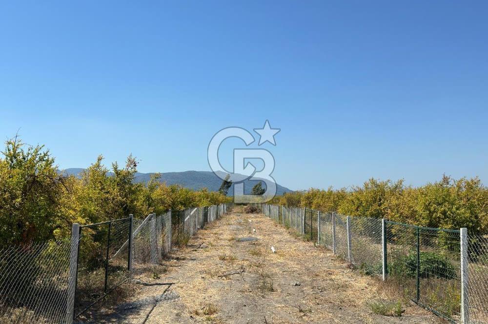 ORTACA TEPEARASI'NDA 300+300 M² ÇEVRİLİ 2 ADET KOOPERATİF HİSSESİ