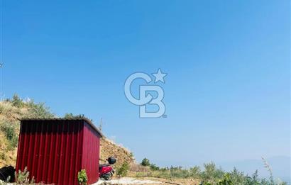 İzmir Ödemiş Merkeze Yakın Depolu Muhteşem Satılık Zeytinlik