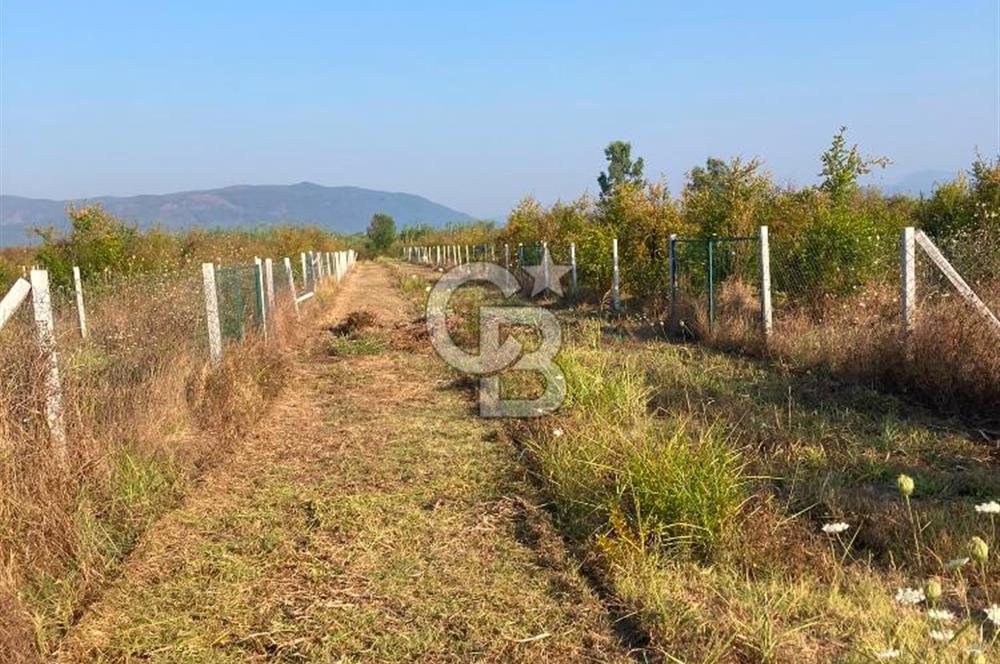 ORTACA TEPEARASI'NDA 300+300 M² ÇEVRİLİ 2 ADET KOOPERATİF HİSSESİ