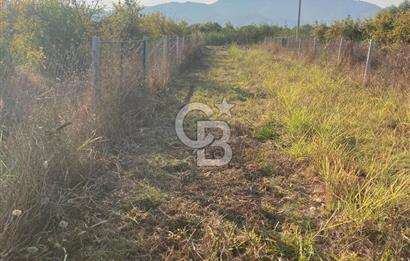 ORTACA TEPEARASI'NDA 300+300 M² ÇEVRİLİ 2 ADET KOOPERATİF HİSSESİ