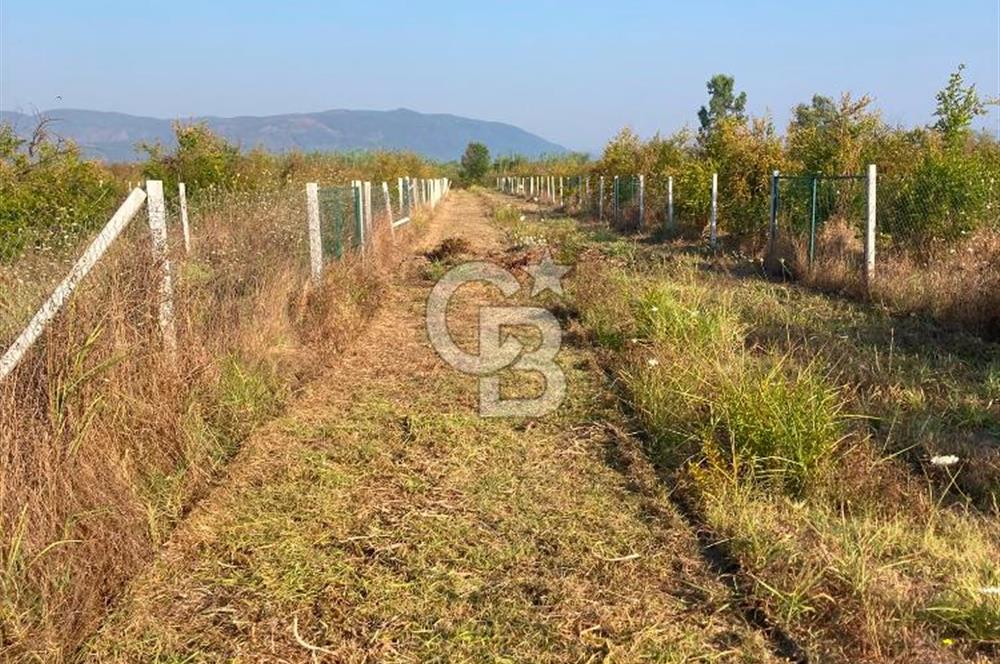 ORTACA TEPEARASI'NDA 300+300 M² ÇEVRİLİ 2 ADET KOOPERATİF HİSSESİ
