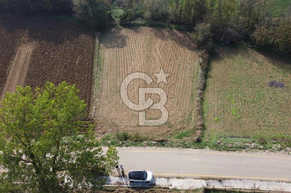 BİLECİK OSMANELİ AĞLAN KÖYÜNDE YOLA CEPHELİ 7.646 m² TEK TAPU