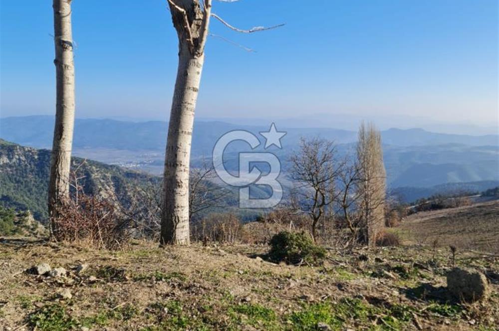 BİLECİK OSMANELİ AĞLAN KÖYÜNDE YOLA CEPHELİ 7.646 m² TEK TAPU