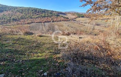 BİLECİK OSMANELİ AĞLAN KÖYÜNDE YOLA CEPHELİ 7.646 m² TEK TAPU