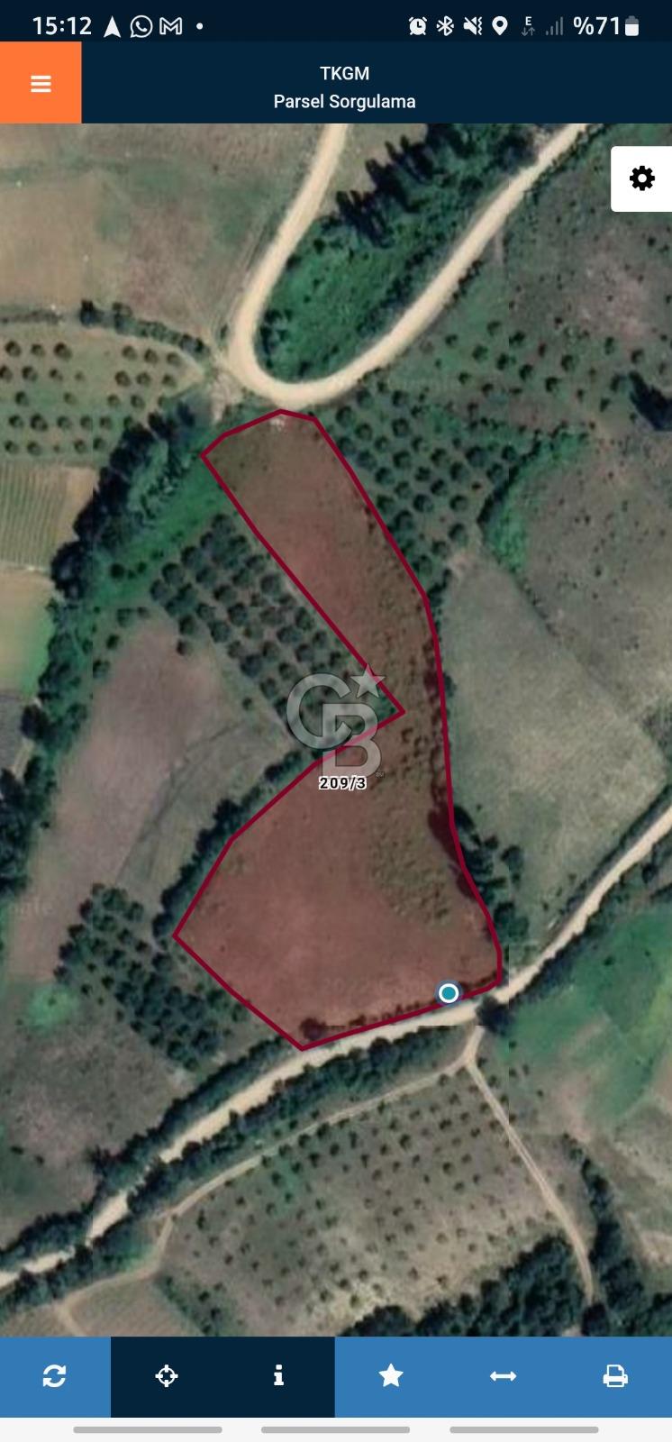 BİLECİK OSMANELİ AĞLAN KÖYÜNDE YOLA CEPHELİ 7.646 m² TEK TAPU