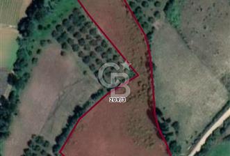 BİLECİK OSMANELİ AĞLAN KÖYÜNDE YOLA CEPHELİ 7.646 m² TEK TAPU - 9 - 372154