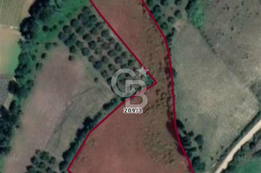 BİLECİK OSMANELİ AĞLAN KÖYÜNDE YOLA CEPHELİ 7.646 m² TEK TAPU