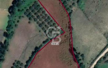 BİLECİK OSMANELİ AĞLAN KÖYÜNDE YOLA CEPHELİ 7.646 m² TEK TAPU