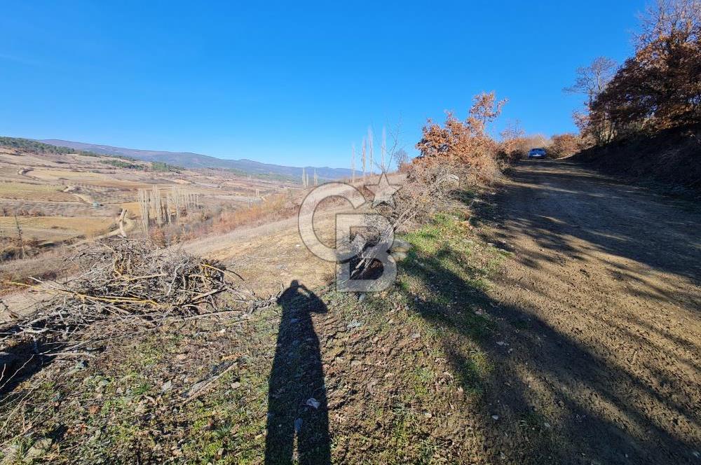 BİLECİK OSMANELİ AĞLAN KÖYÜNDE YOLA CEPHELİ 7.646 m² TEK TAPU