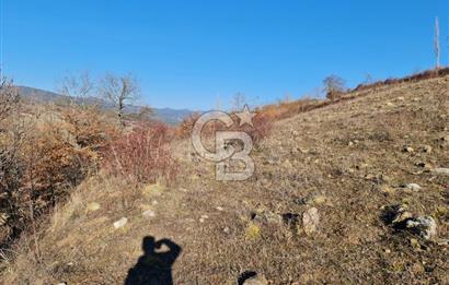 BİLECİK OSMANELİ AĞLAN KÖYÜNDE YOLA CEPHELİ 7.646 m² TEK TAPU