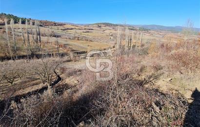 BİLECİK OSMANELİ AĞLAN KÖYÜNDE YOLA CEPHELİ 7.646 m² TEK TAPU