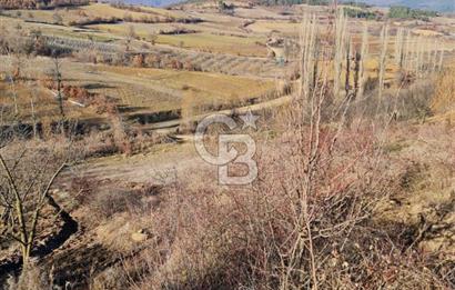 BİLECİK OSMANELİ AĞLAN KÖYÜNDE YOLA CEPHELİ 7.646 m² TEK TAPU