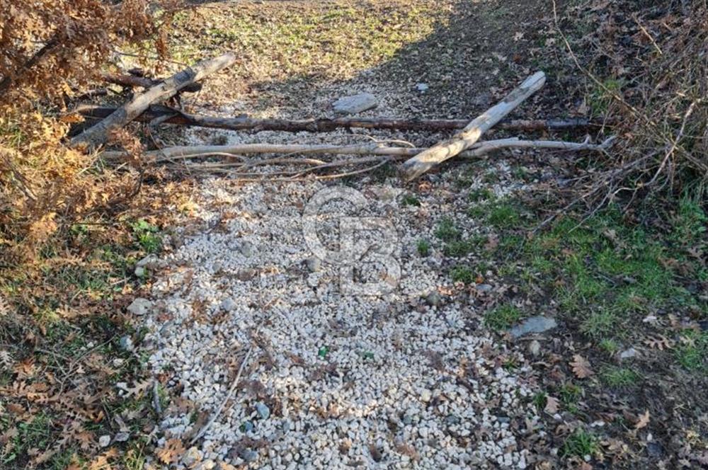 BİLECİK OSMANELİ AĞLAN KÖYÜNDE YOLA CEPHELİ 7.646 m² TEK TAPU