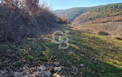 BİLECİK OSMANELİ AĞLAN KÖYÜNDE YOLA CEPHELİ 7.646 m² TEK TAPU