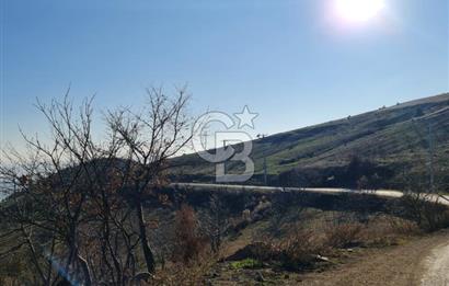 BİLECİK OSMANELİ AĞLAN KÖYÜNDE YOLA CEPHELİ 7.646 m² TEK TAPU