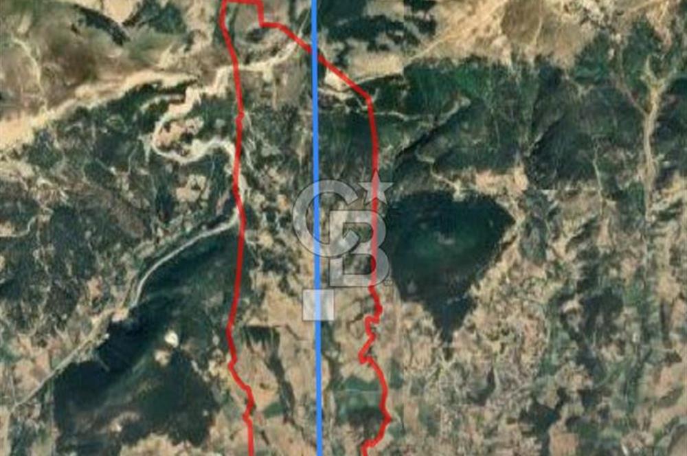 BOLU MUDURNU ÖRENCİK'TE ABANT'A 12 DK | %5 İMARLI 5.170 m²