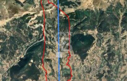 BOLU MUDURNU ÖRENCİK'TE ABANT'A 12 DK | %5 İMARLI 5.170 m²