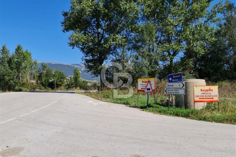 BOLU MUDURNU ÖRENCİK'TE ABANT'A 12 DK | %5 İMARLI 5.170 m²
