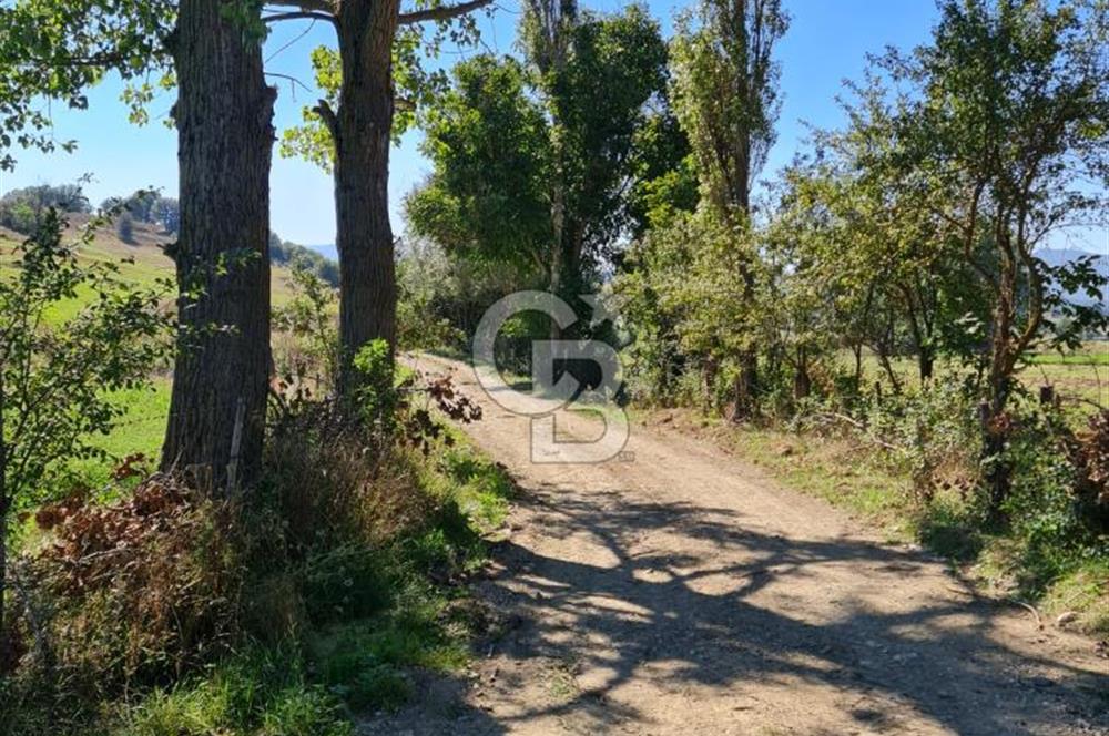 BOLU MUDURNU ÖRENCİK'TE ABANT'A 12 DK | %5 İMARLI 5.170 m²