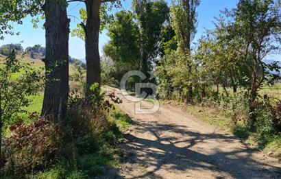 BOLU MUDURNU ÖRENCİK'TE ABANT'A 12 DK | %5 İMARLI 5.170 m²