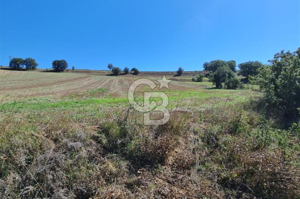 BOLU MUDURNU ÖRENCİK'TE ABANT'A 12 DK | %5 İMARLI 5.170 m²